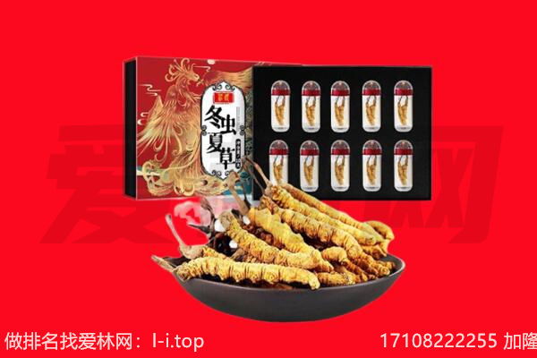 梁溪区回收虫草.jpg